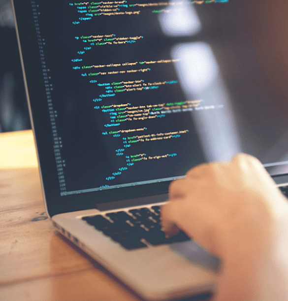 臨清市青年番木網(wǎng)絡(luò)工作室恭祝各界元旦快樂